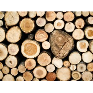 Công Ty Cổ Phần Đầu Tư Thúy Sơn